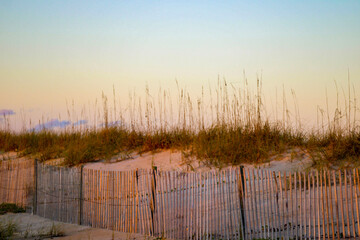 beach at sunset