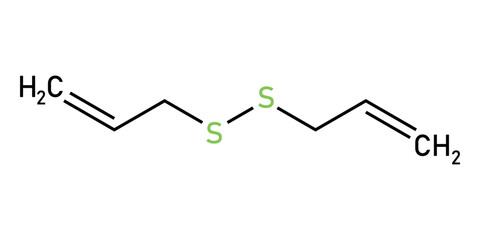 Chemical structure of Diallyl disulfide (C6H10S2). Chemical resources for teachers and students. Vector illustration isolated on white background.