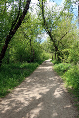 Mlocinski Park or Forest. The forest park located in Bielany district in Warsaw, Poland