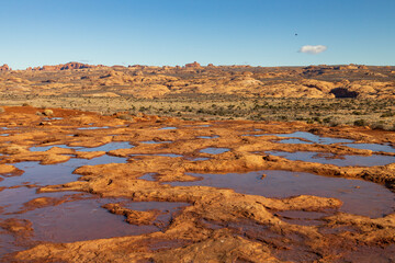 Fototapeta na wymiar Puddles with reflections at Arches National Park, Utah, USA