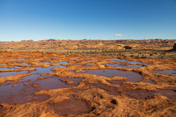 Puddles with reflections at Arches National Park, Utah, USA