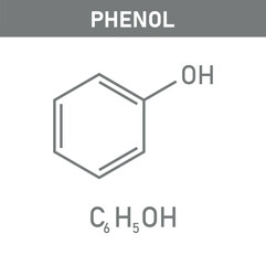 Chemical structure of Phenol (C6H5OH). Chemical resources for teachers and students. Vector illustration isolated on white background.