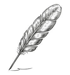 Feather quill dip pen in vintage engraving style. Hand drawn sketch illustration © ~ Bitter ~