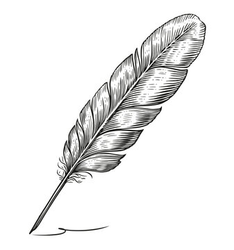 Feather quill dip pen in vintage engraving style. Hand drawn sketch illustration