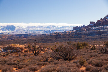 Arches National Park with La Sal mountains in background, Utah, USA