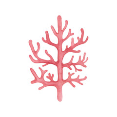 Red sea coral watercolor illustration.