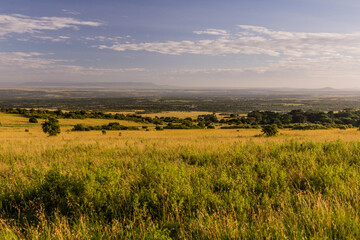 Plakat Landscape of Masai Mara National Reserve, Kenya