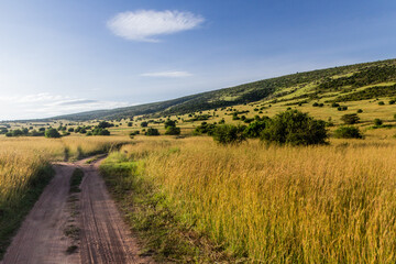 Fototapeta na wymiar Landscape of Masai Mara National Reserve, Kenya