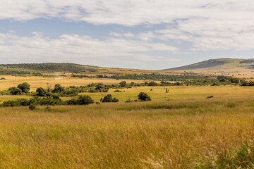 Fototapeta na wymiar Landscape of Masai Mara National Reserve, Kenya