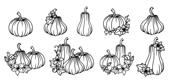 Set of hand drawn Pumpkins. Outline vector designs.