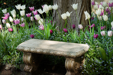 Garden bench surrounded by Tulips