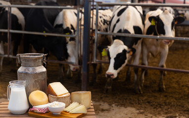 Fresh milk in glass carafe and cans, bowl with soft cottage cheese and various hard cheeses on...