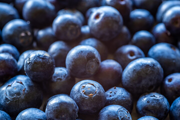 closeup of a bunch of blueberries