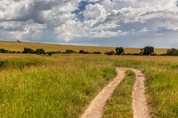 Fototapety na wymiar - Fototapeta24.pl
