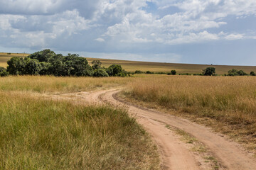 Fototapeta na wymiar Tracks in Masai Mara National Reserve, Kenya