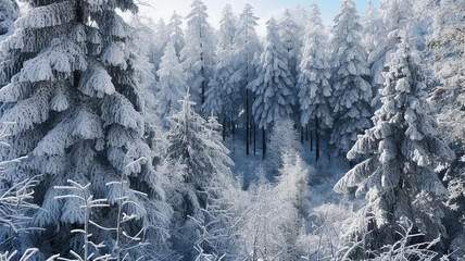 coniferous forest covered with hoarfrost background, winter landscape snow trees. Generative Ai