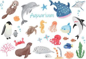水族館にいるかわいい生き物たちのイラストセット　手書き水彩 - obrazy, fototapety, plakaty