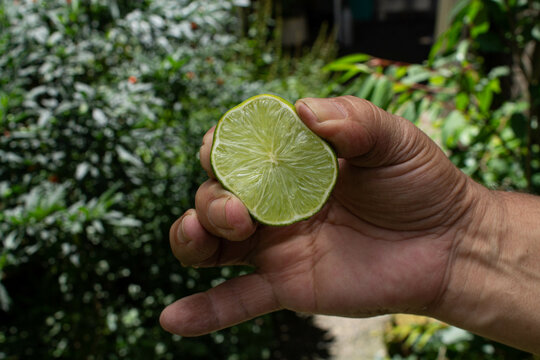 Hombre exprime medio lim&oacute;n con su mano derecha.