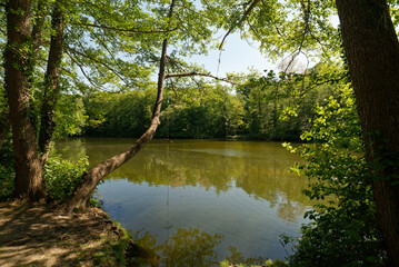 Deutschland - Baden-Württemberg - Freiburg im Breisgau - Kleiner Opfinger See