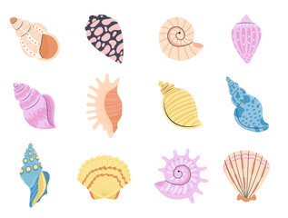 Sea schell, conches of sea snail vector.Colorful shell, ocean conch, rief