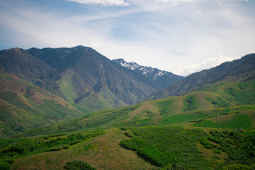 Fototapeta premium Mountains in the summer