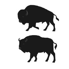 Two silhouette bison are standing in front of a white background.