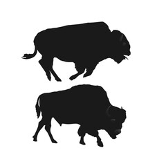 Two silhouettes of a bison are shown, one of which is black.