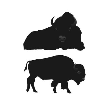 A black and white picture of sihlouette two bison