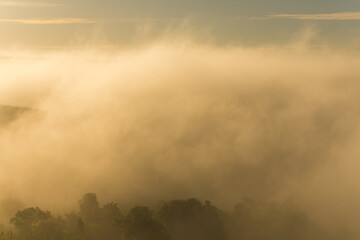 misty dawn