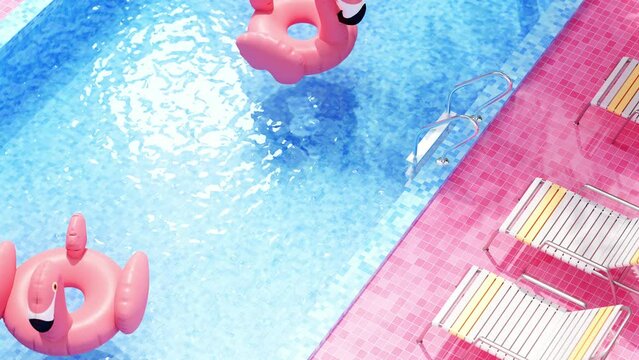 Flamingos float around the swimming pool