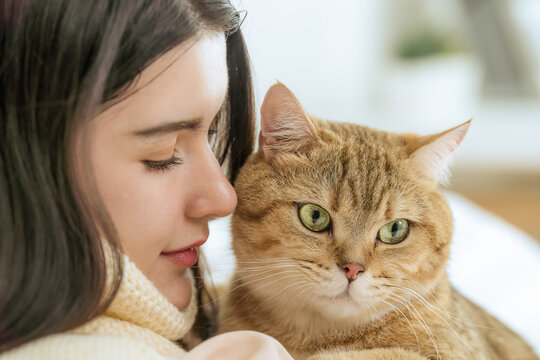 Photo of Morning Light Portrait, Cute Cat and Young Woman in Bedroom