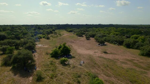 A lake in the middle of the bush in Africa, from a drone. The lake is half dry, in the middle of a desert patch, with trees surrounding the sand