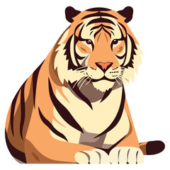 Large, fierce Bengal tiger sitting in isolation