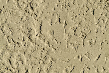 A view of a wall in the afternoon sunlight