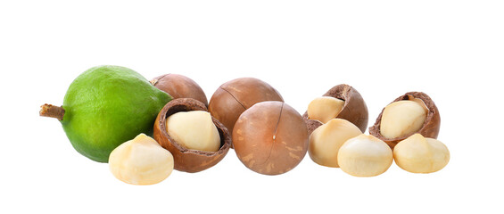 macadamia nuts isolated on transparent png