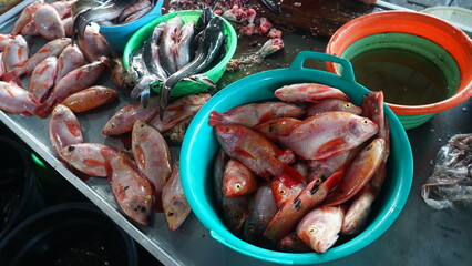 Tilapia fish in a bucket at a trader's stall in a traditional market. Focus selected