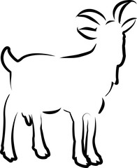 Goat design logo symbol icon line art illustration transparent background