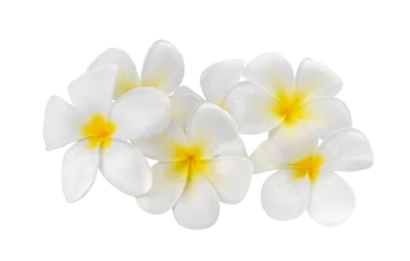 Muurstickers frangipani flower isolated on transparent png © sommai