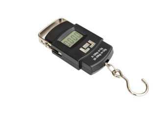 Small portable electronic scale