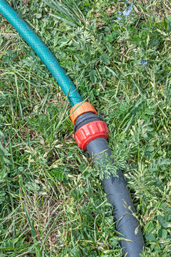 A garden hose lies on the lawn on a summer day