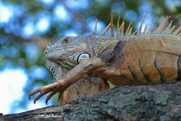 Photos of various places in Mexico