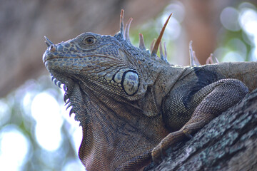 Photos of various places in Mexico