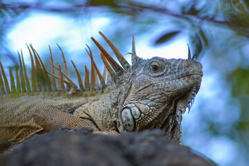 Photos of various places in Mexico