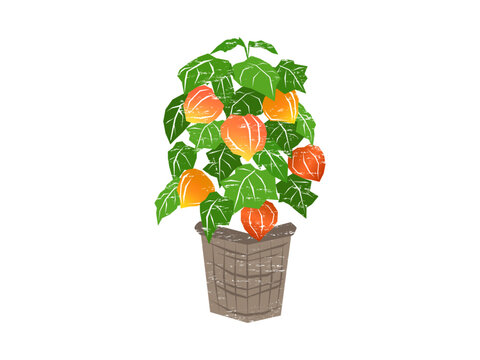 版画風、はんこ風に描いた、鉢に入ったほおずき
