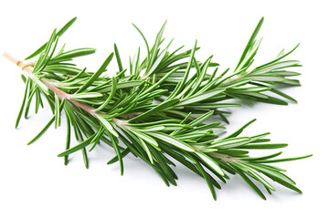 Ai generative. Rosemary twig and leaves on white