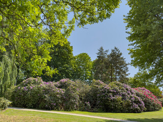 Fototapete bei efototapeten.de bestellen   