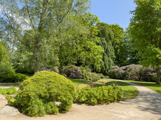 Fototapete bei efototapeten.de bestellen   