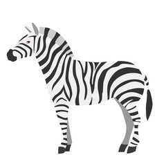 Fototapeta na wymiar Zebra cute cartoon