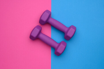 The layout of two rubberized dumbbells of 2 kg of purple color on a blue-pink background, top view....