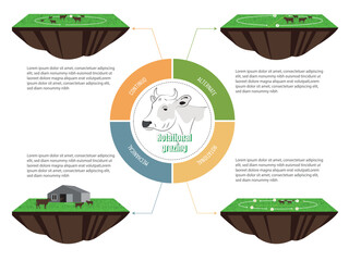 Infographic on the different types of rotational grazing.diagram of a piece of pasture with cattle and the way it is rotated. - obrazy, fototapety, plakaty